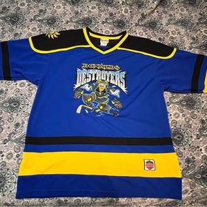 Donald Duck Hockey Jersey (sweater) our based at Walt Disney World